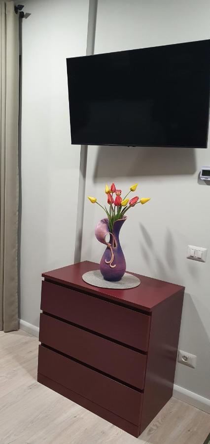 Apartment Yla Studio- Piatra Neamt